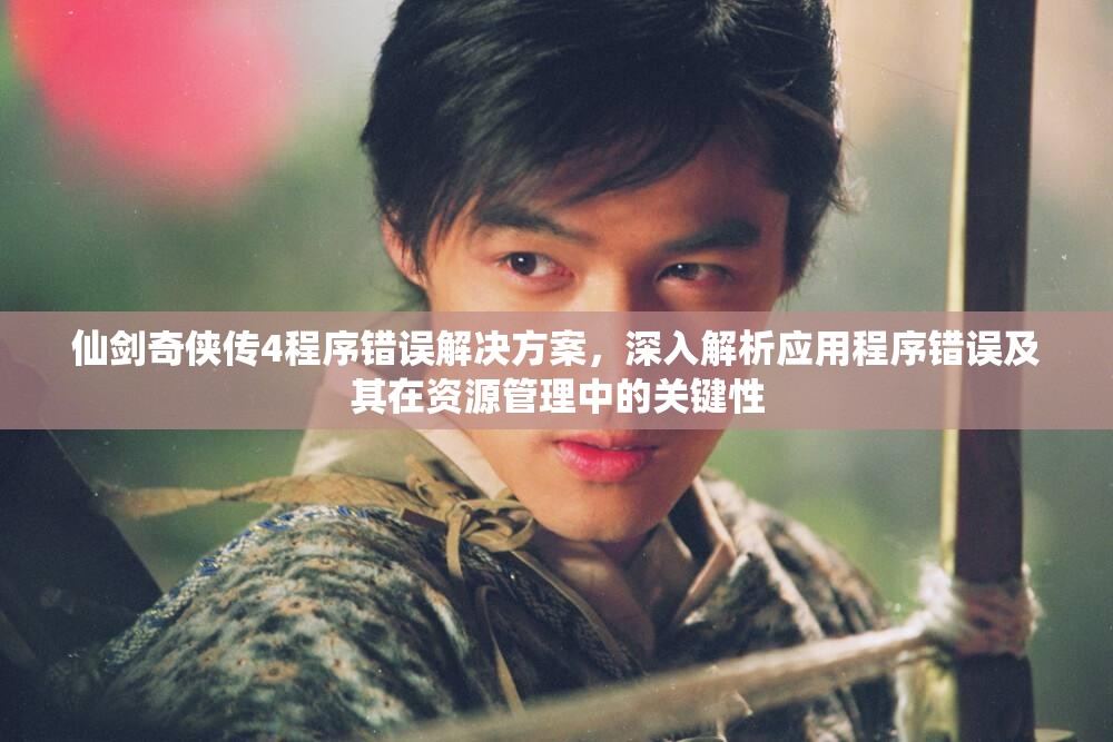仙剑奇侠传4程序错误解决方案，深入解析应用程序错误及其在资源管理中的关键性