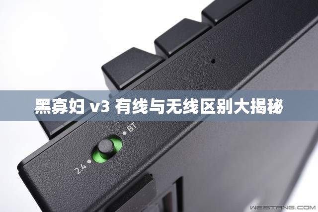 黑寡妇 v3 有线与无线区别大揭秘