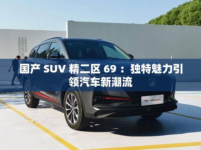 国产 SUV 精二区 69 ：独特魅力引领汽车新潮流