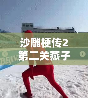 沙雕梗传2第二关燕子别走通关秘籍，深度游戏攻略与技巧解析