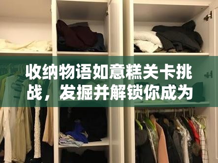 收纳物语如意糕关卡挑战，发掘并解锁你成为整理大师的内在潜能