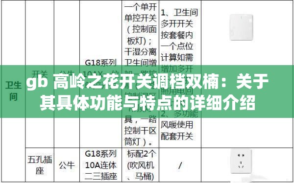 gb 高岭之花开关调档双楠：关于其具体功能与特点的详细介绍