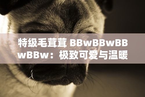 特级毛茸茸 BBwBBwBBwBBw：极致可爱与温暖的毛茸茸世界