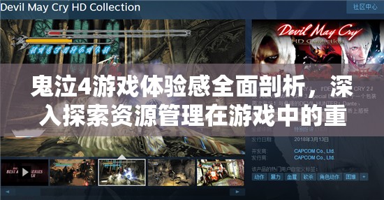 鬼泣4游戏体验感全面剖析，深入探索资源管理在游戏中的重要性
