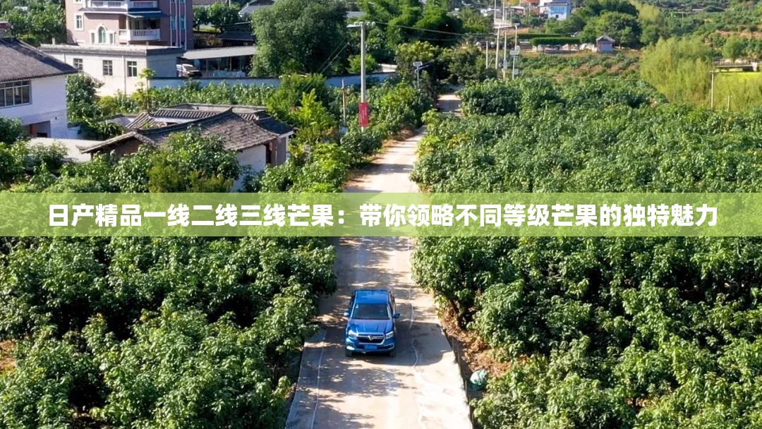 日产精品一线二线三线芒果：带你领略不同等级芒果的独特魅力