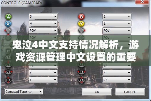 鬼泣4中文支持情况解析，游戏资源管理中文设置的重要性与技巧