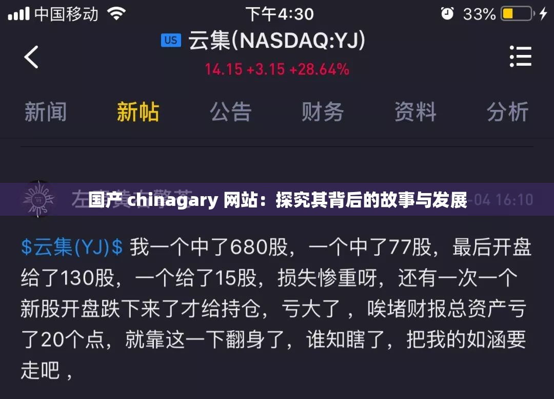 国产 chinagary 网站：探究其背后的故事与发展