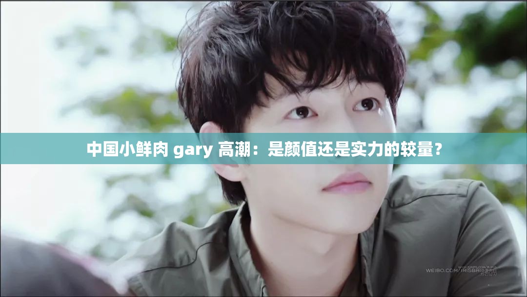 中国小鲜肉 gary 高潮：是颜值还是实力的较量？