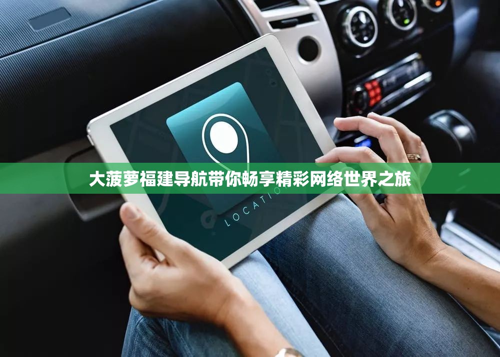 大菠萝福建导航带你畅享精彩网络世界之旅