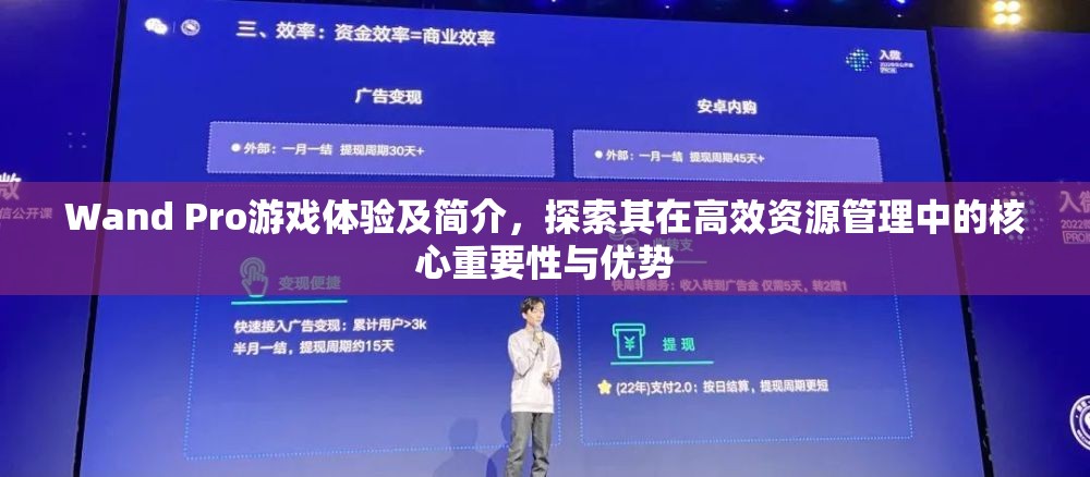 Wand Pro游戏体验及简介，探索其在高效资源管理中的核心重要性与优势