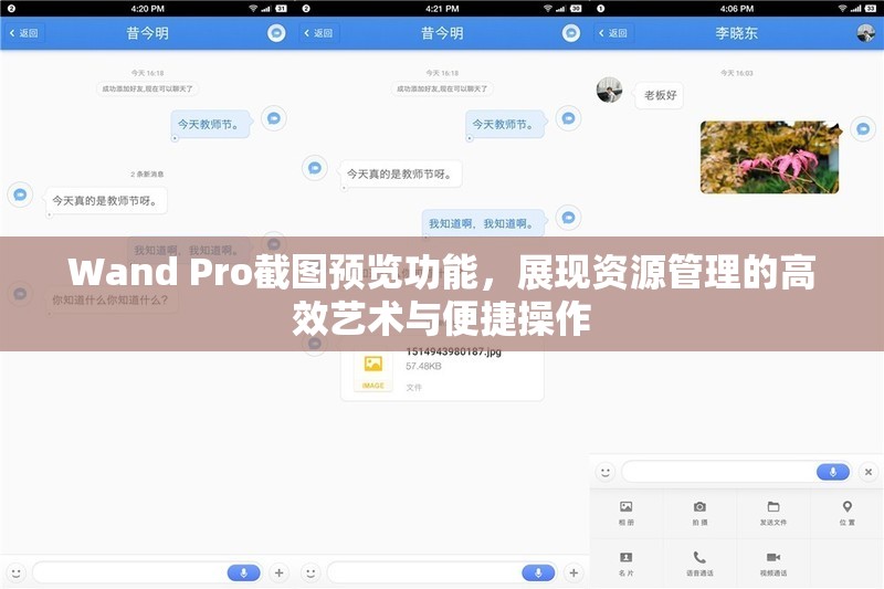 Wand Pro截图预览功能，展现资源管理的高效艺术与便捷操作