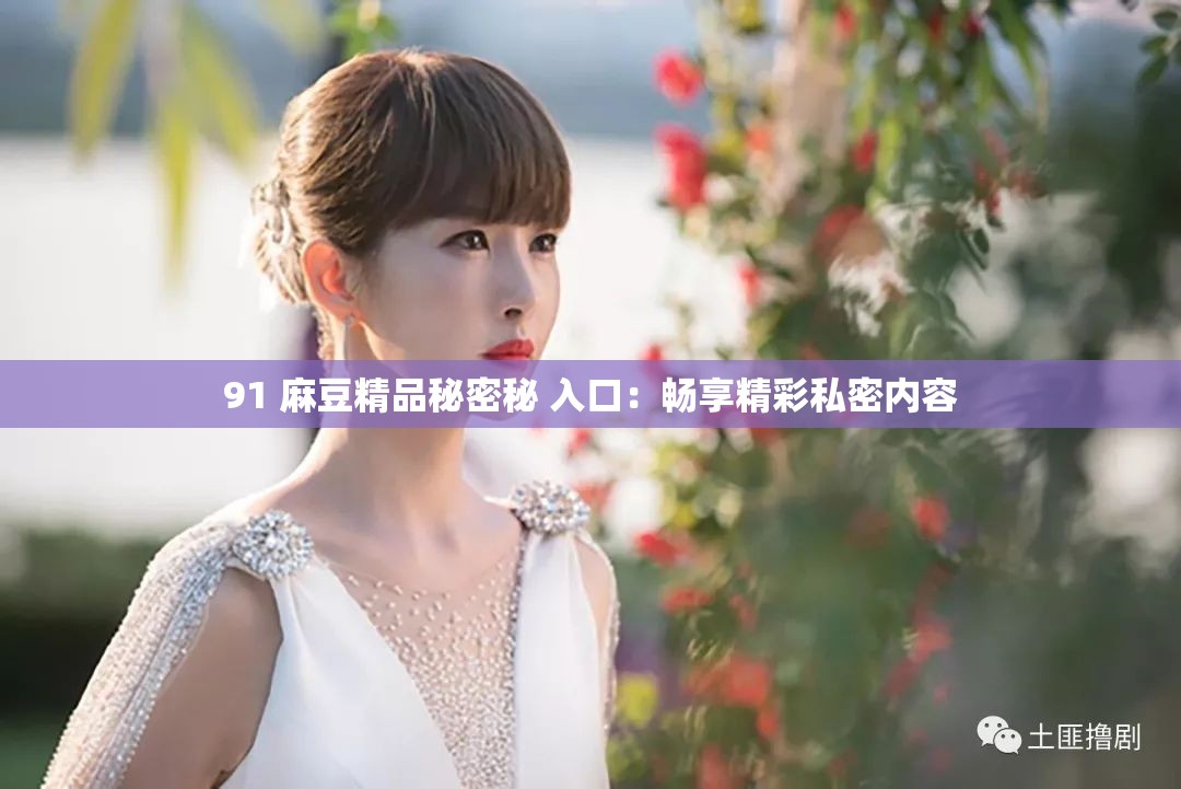 91 麻豆精品秘密秘 入口：畅享精彩私密内容
