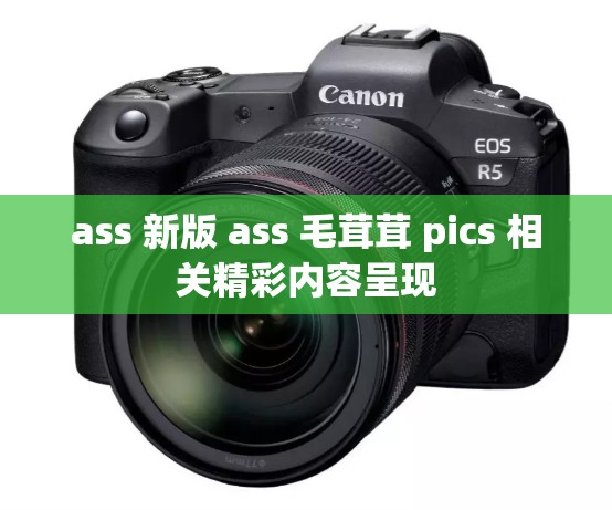 ass 新版 ass 毛茸茸 pics 相关精彩内容呈现