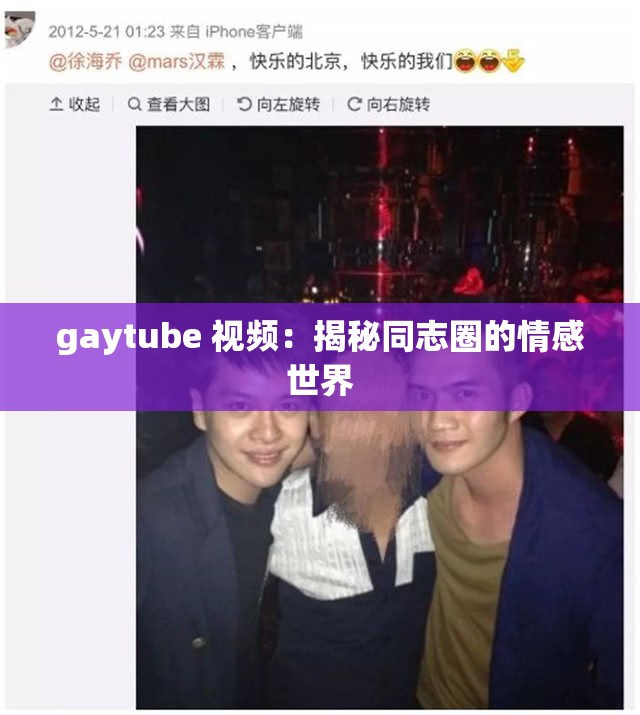 gaytube 视频：揭秘同志圈的情感世界
