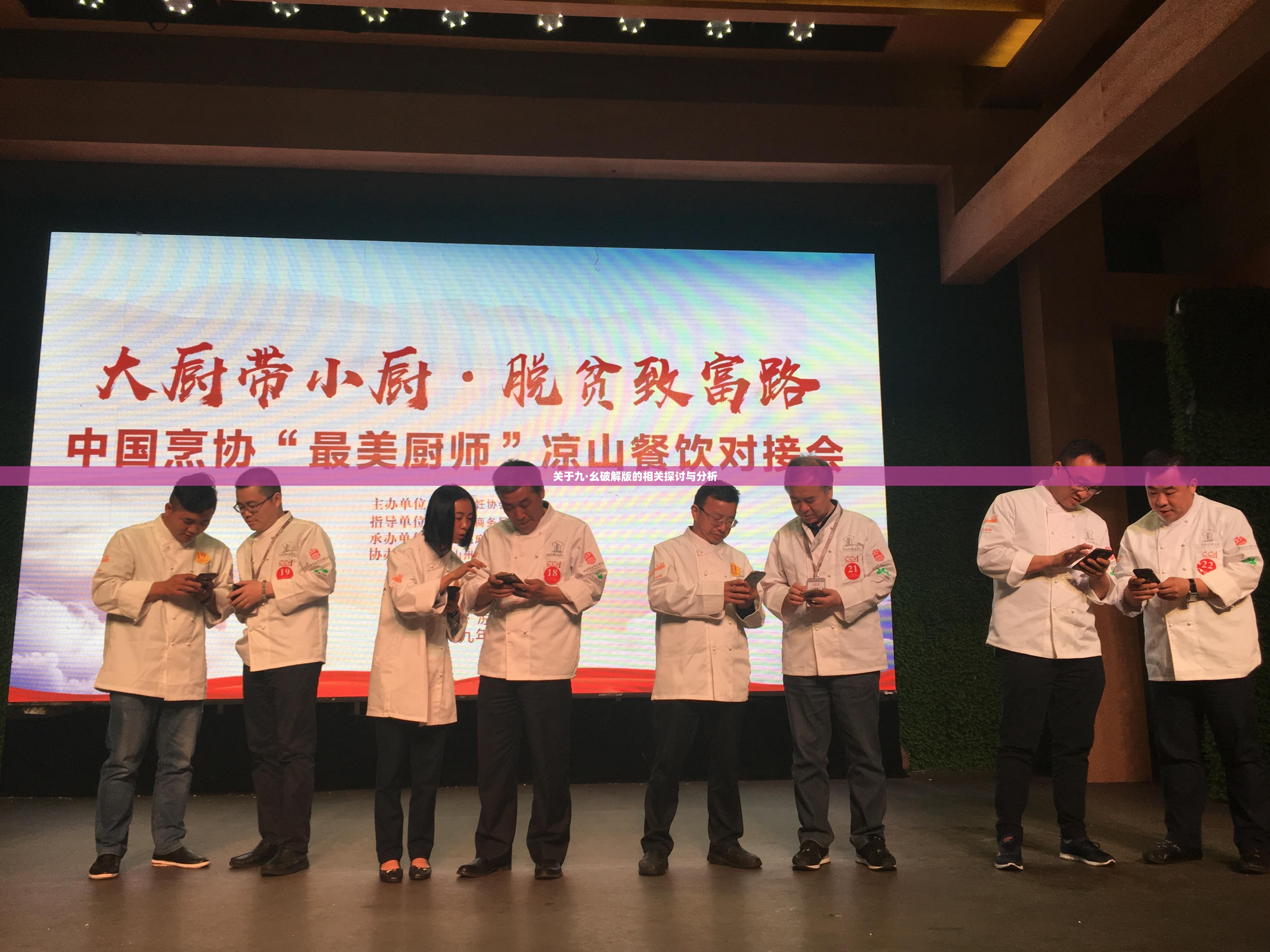 关于九·幺破解版的相关探讨与分析