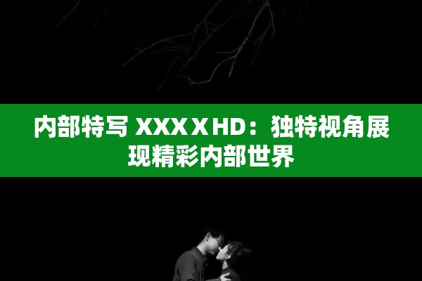 内部特写 XXXⅩHD：独特视角展现精彩内部世界