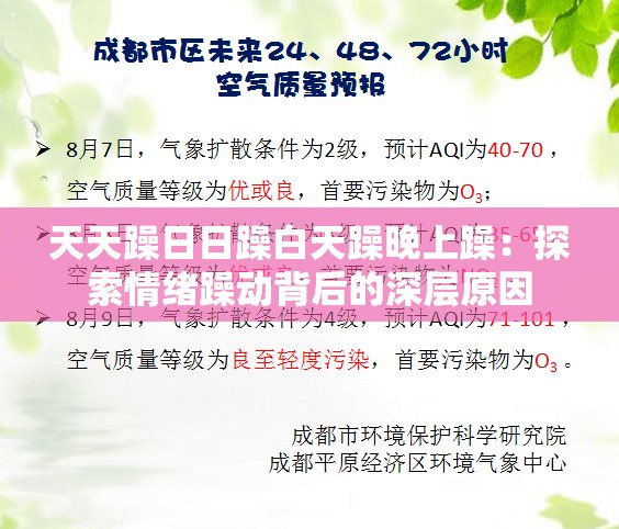 天天躁日日躁白天躁晚上躁：探索情绪躁动背后的深层原因