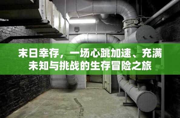 末日幸存，一场心跳加速、充满未知与挑战的生存冒险之旅