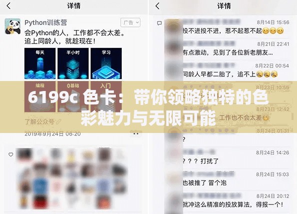 6199c 色卡：带你领略独特的色彩魅力与无限可能