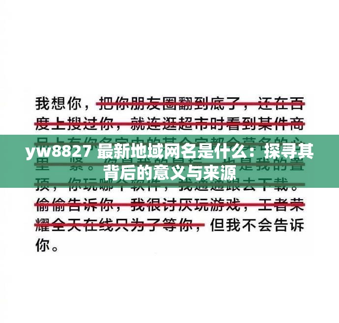 yw8827 最新地域网名是什么：探寻其背后的意义与来源