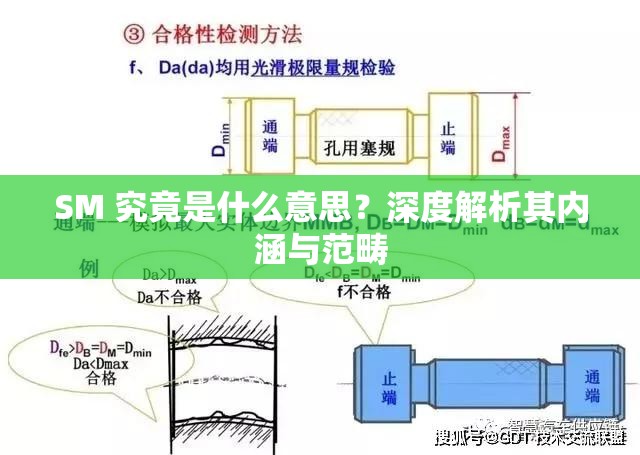 SM 究竟是什么意思？深度解析其内涵与范畴
