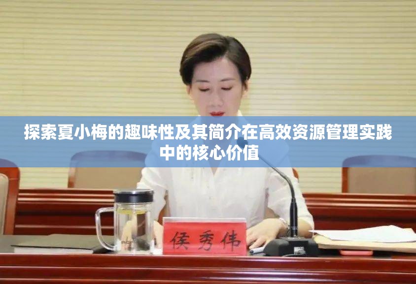 探索夏小梅的趣味性及其简介在高效资源管理实践中的核心价值