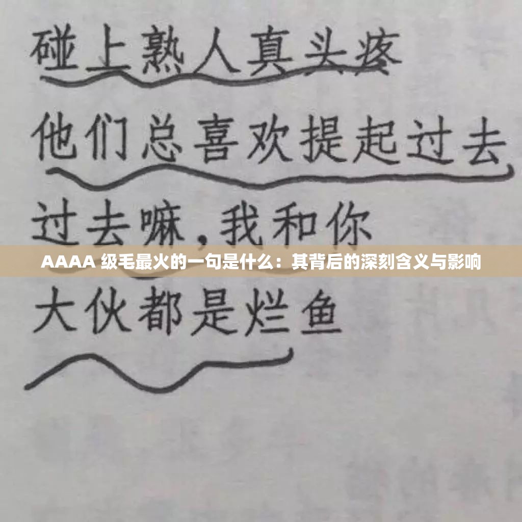 AAAA 级毛最火的一句是什么：其背后的深刻含义与影响