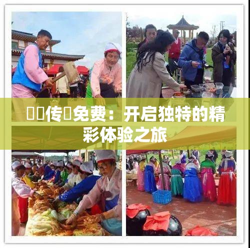 蔴荳传禖免费：开启独特的精彩体验之旅