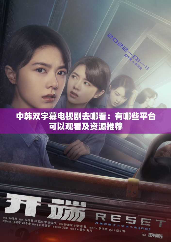 中韩双字幕电视剧去哪看：有哪些平台可以观看及资源推荐
