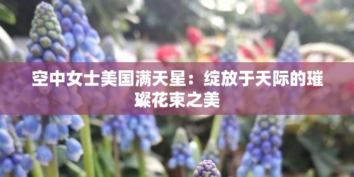 空中女士美国满天星：绽放于天际的璀璨花束之美