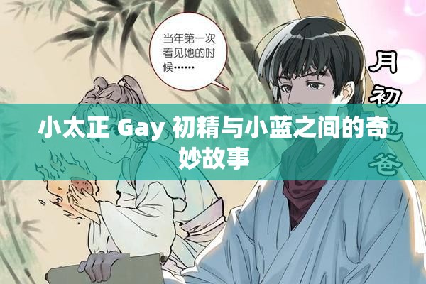 小太正 Gay 初精与小蓝之间的奇妙故事