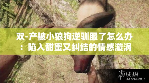双-产被小狼狗逆驯服了怎么办：陷入甜蜜又纠结的情感漩涡