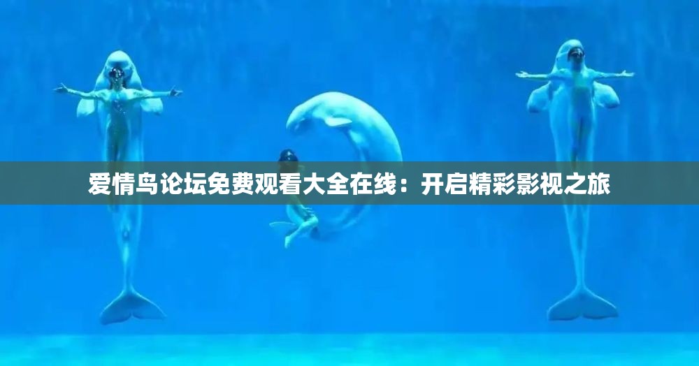 爱情鸟论坛免费观看大全在线：开启精彩影视之旅