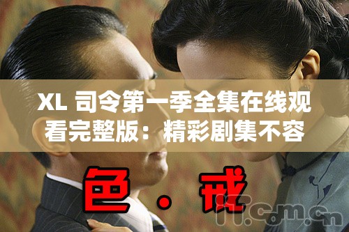 XL 司令第一季全集在线观看完整版：精彩剧集不容错过