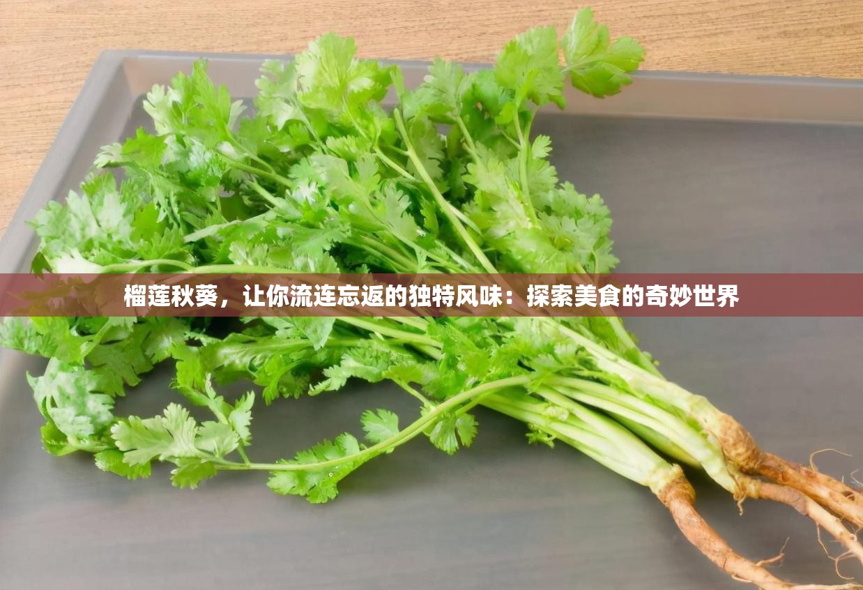 榴莲秋葵，让你流连忘返的独特风味：探索美食的奇妙世界