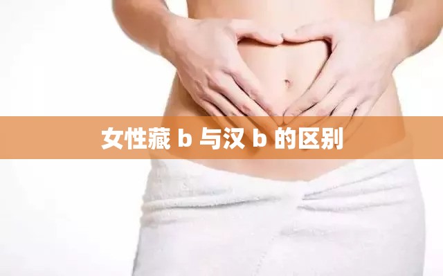 女性藏 b 与汉 b 的区别