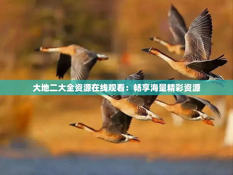 大地二大全资源在线观看：畅享海量精彩资源