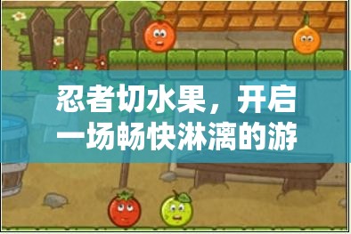 忍者切水果，开启一场畅快淋漓的游戏之旅，从安装配置到尽情畅玩
