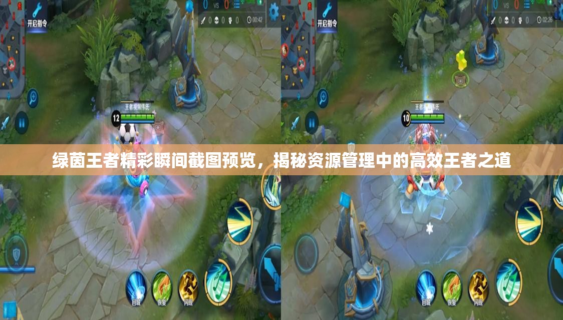 绿茵王者精彩瞬间截图预览，揭秘资源管理中的高效王者之道