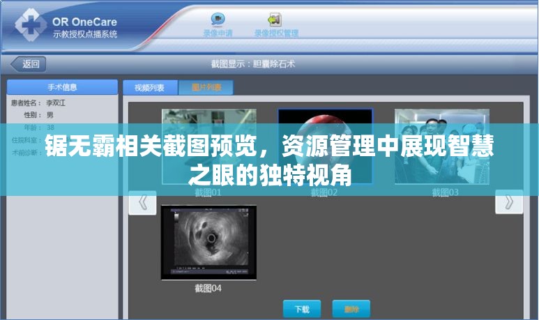 锯无霸相关截图预览，资源管理中展现智慧之眼的独特视角
