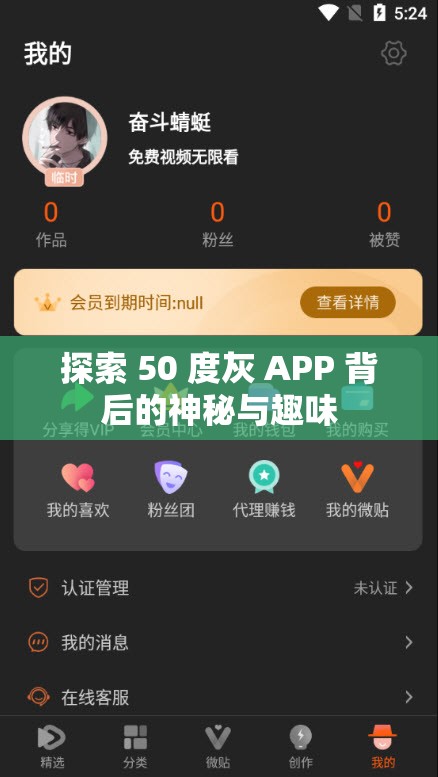 探索 50 度灰 APP 背后的神秘与趣味