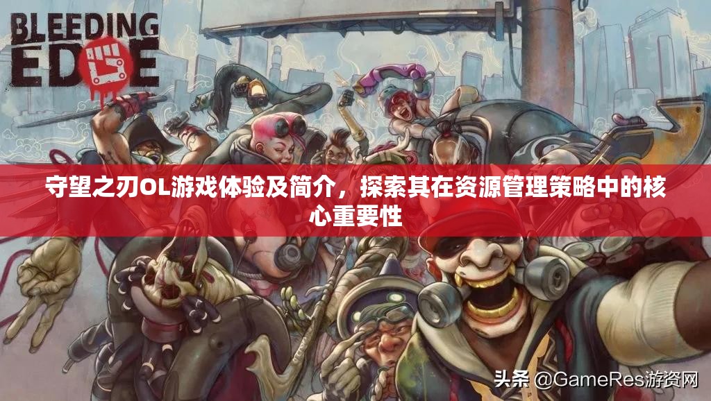 守望之刃OL游戏体验及简介，探索其在资源管理策略中的核心重要性