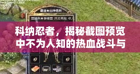 科纳忍者，揭秘截图预览中不为人知的热血战斗与惊险冒险故事