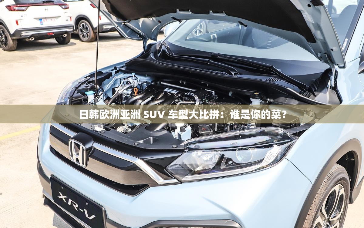 日韩欧洲亚洲 SUV 车型大比拼：谁是你的菜？