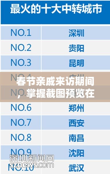 春节亲戚来访期间，掌握截图预览在资源管理中的重要性及高效运用策略