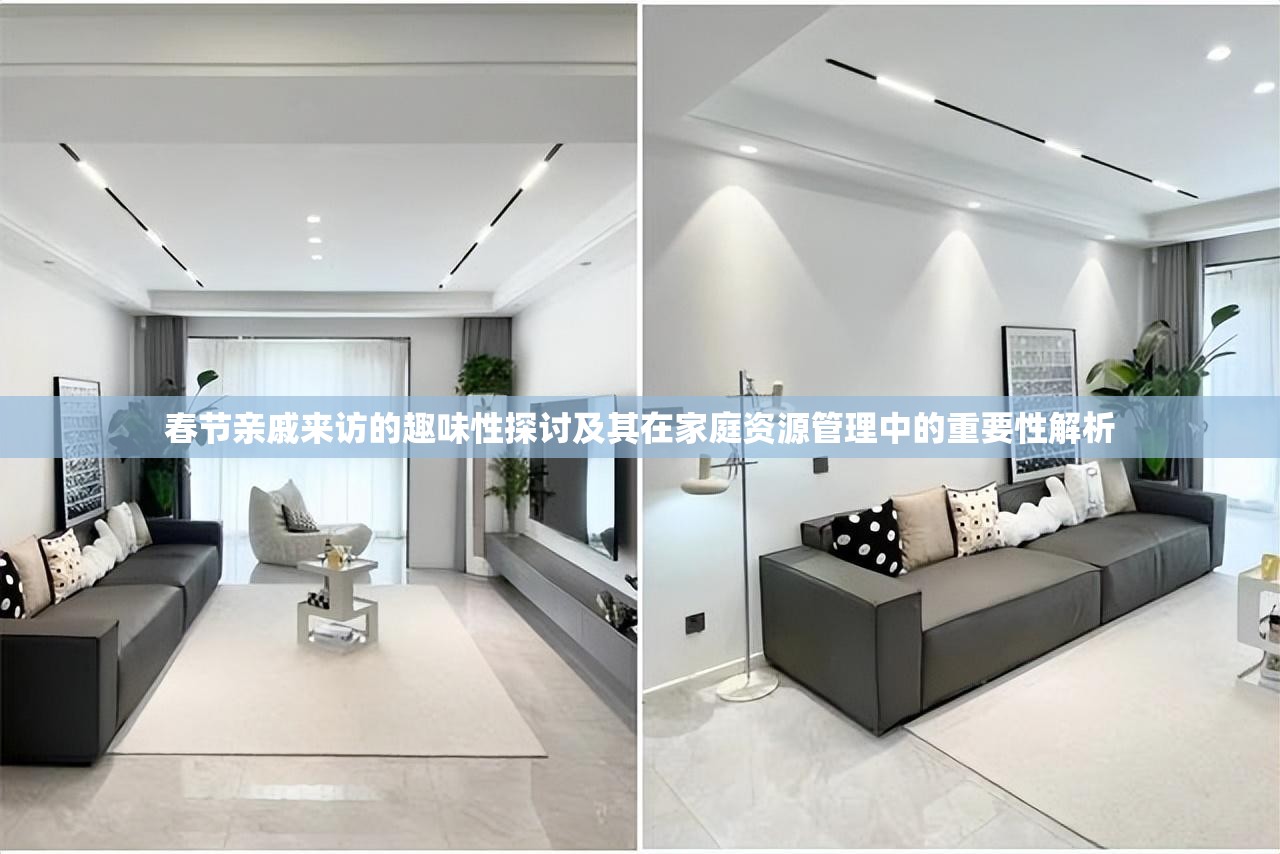 春节亲戚来访的趣味性探讨及其在家庭资源管理中的重要性解析