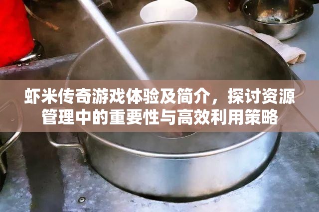 虾米传奇游戏体验及简介，探讨资源管理中的重要性与高效利用策略