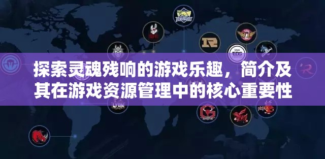 探索灵魂残响的游戏乐趣，简介及其在游戏资源管理中的核心重要性
