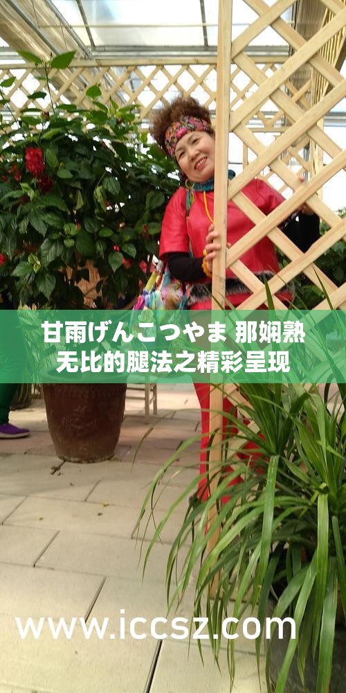 甘雨げんこつやま 那娴熟无比的腿法之精彩呈现