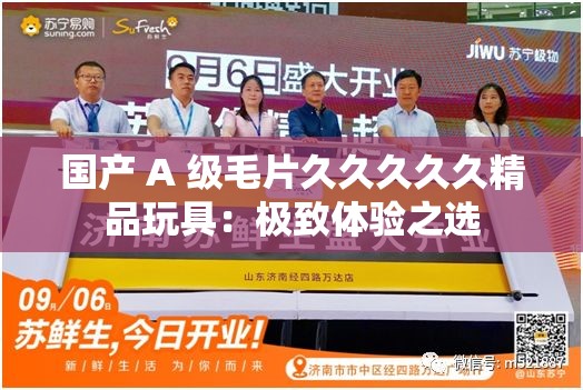 国产 A 级毛片久久久久久精品玩具：极致体验之选